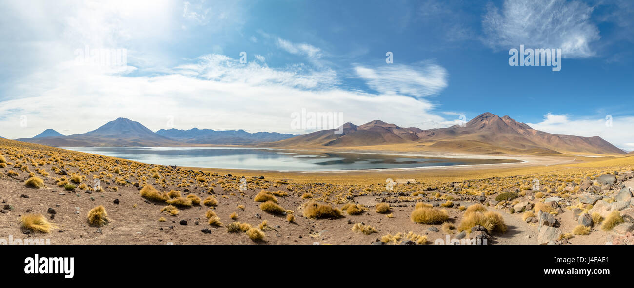 Panoramablick über Miscanti Lagune - Atacama-Wüste, Chile Stockfoto