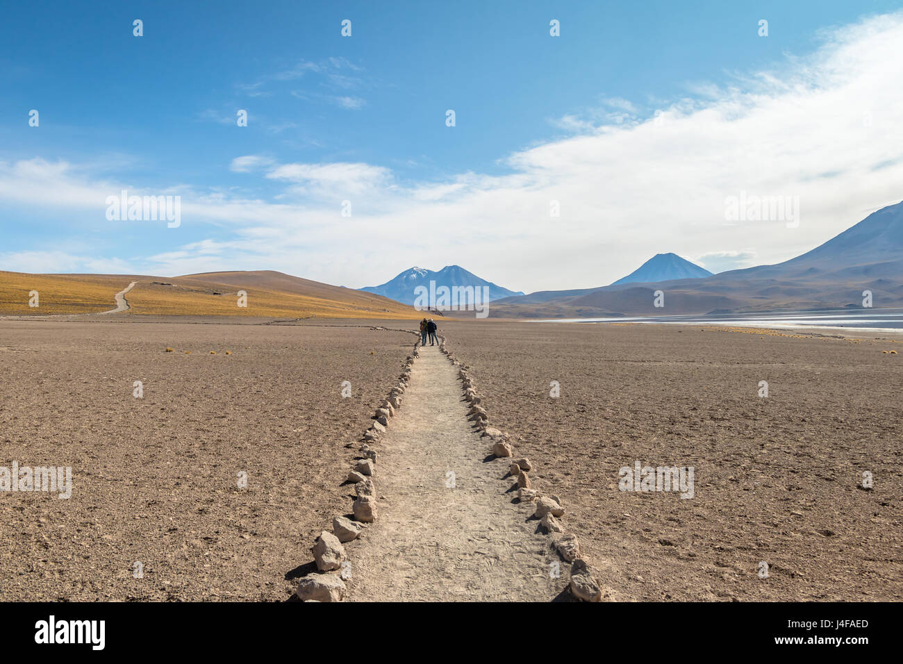 Pfad im Kommandobereich/Miniques und Miscanti Lagune - Atacama-Wüste, Chile Stockfoto