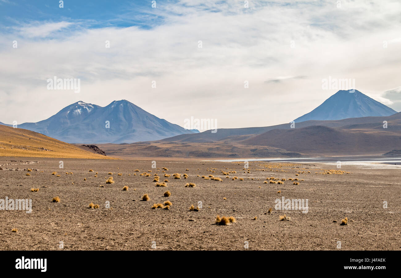 Miniques und Miscanti Lagune Bereich - Atacama-Wüste, Chile Stockfoto