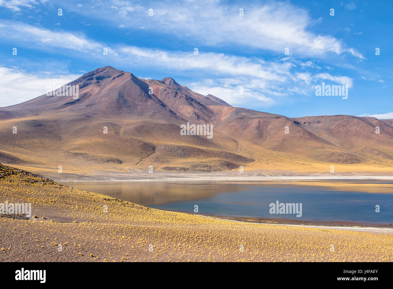 Miniques Lagune und Vulkan - Atacama-Wüste, Chile Stockfoto