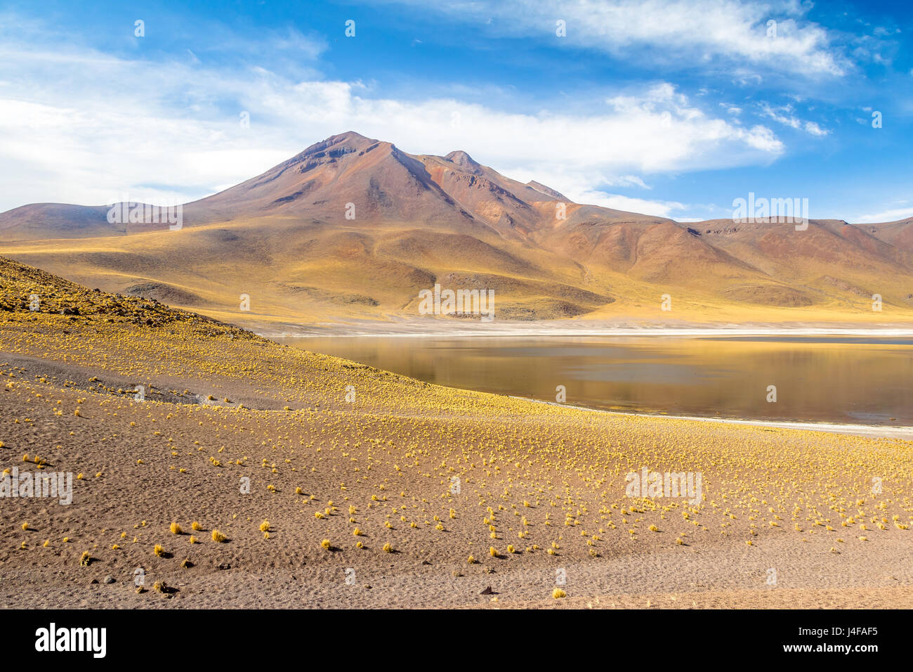 Miniques Lagune und Vulkan - Atacama-Wüste, Chile Stockfoto