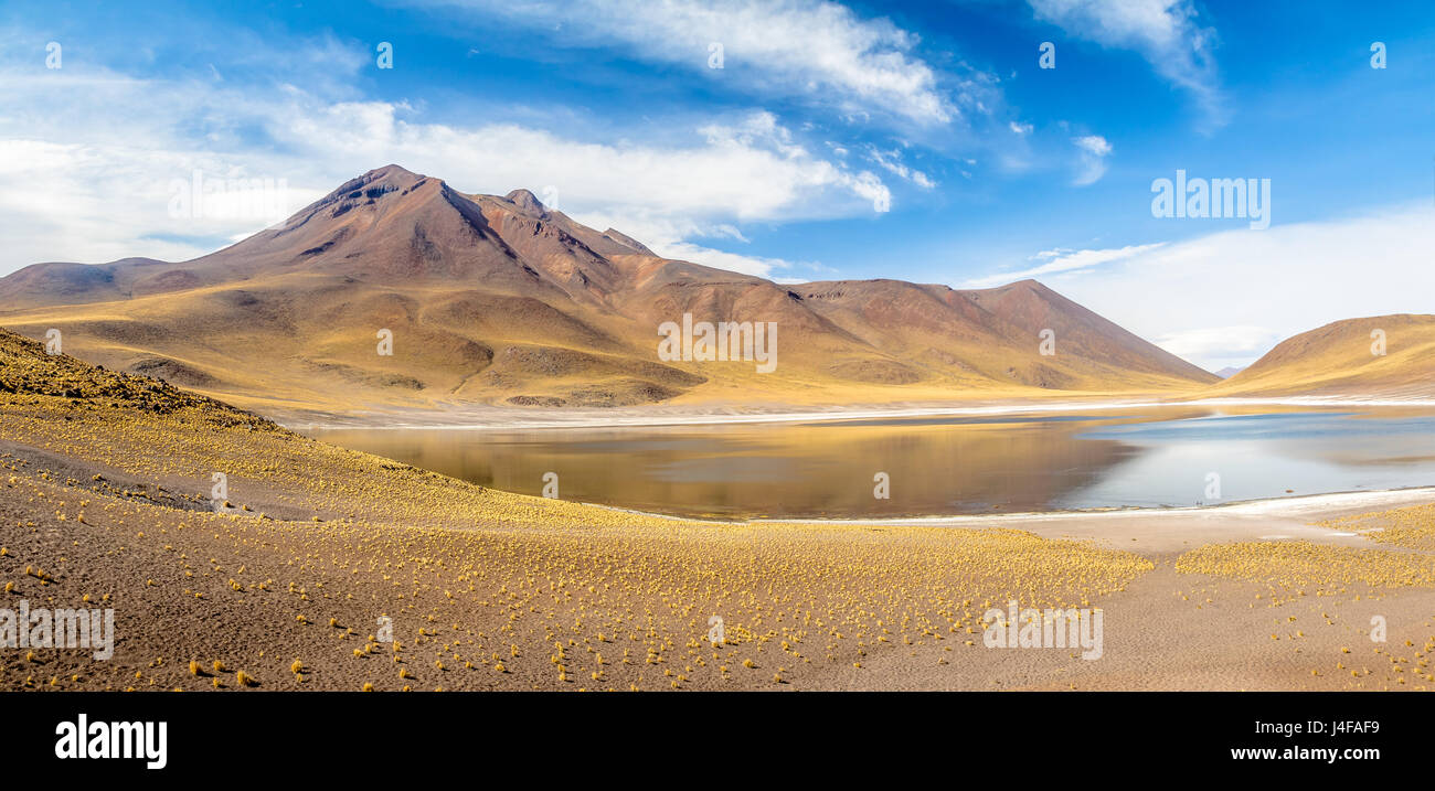Panoramablick auf Miniques Lagune und Vulkan - Atacama-Wüste, Chile Stockfoto