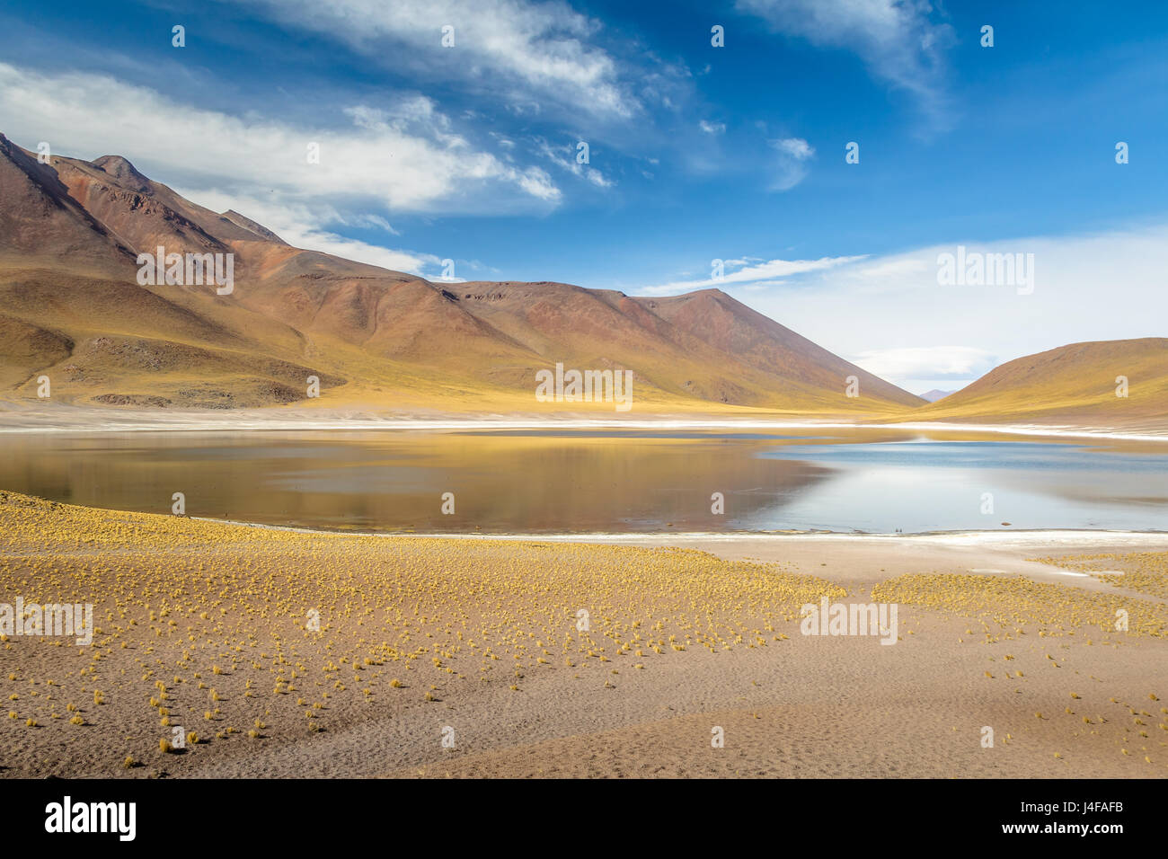 Miniques Lagune und Vulkan - Atacama-Wüste, Chile Stockfoto