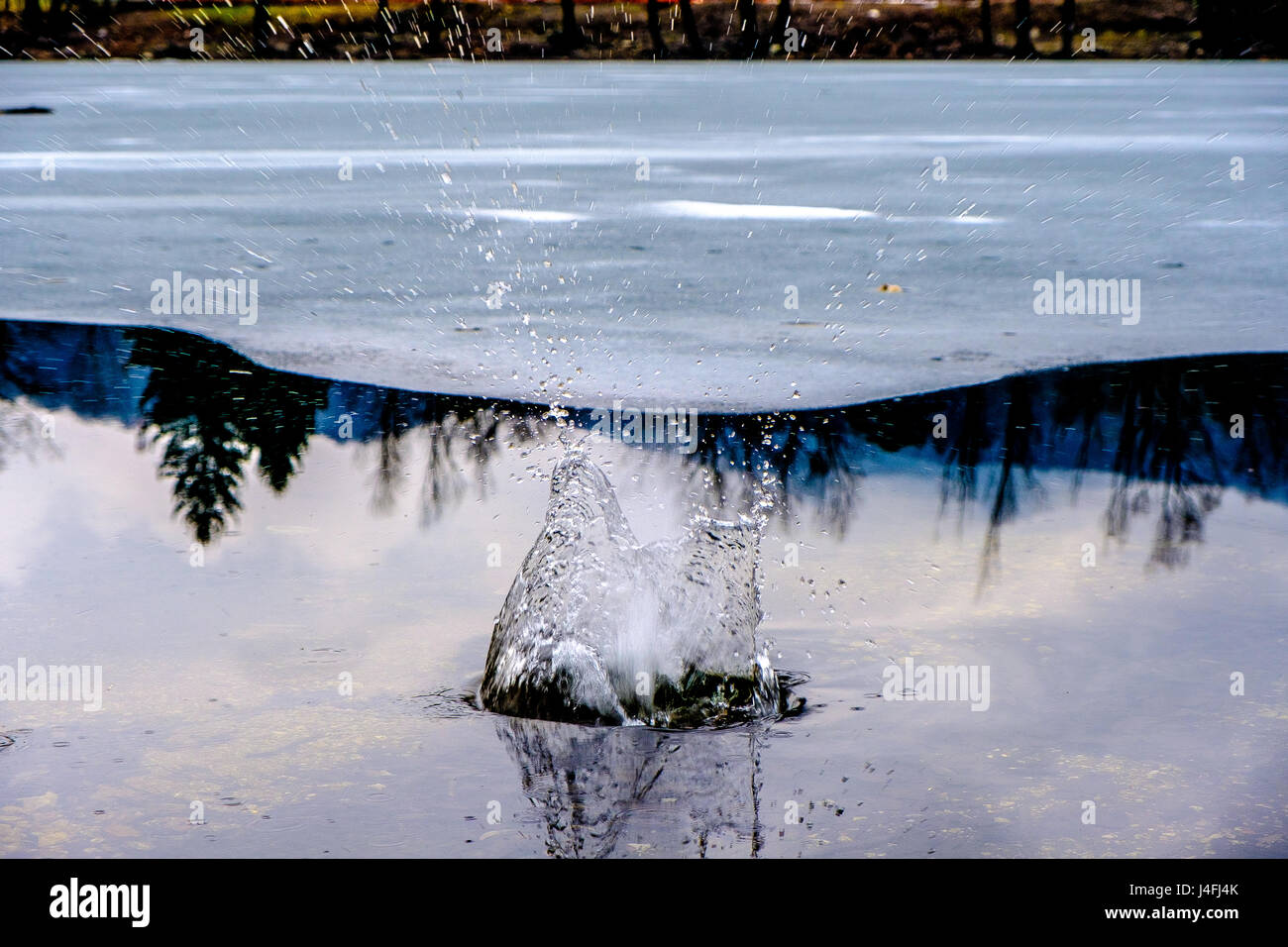 Ein Spritzer Wasser springen von einem zugefrorenen See Stockfoto