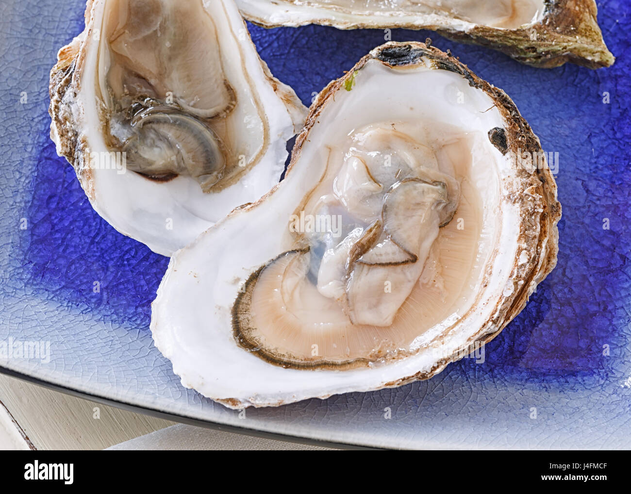 Frische Austern in der Schale. Stockfoto