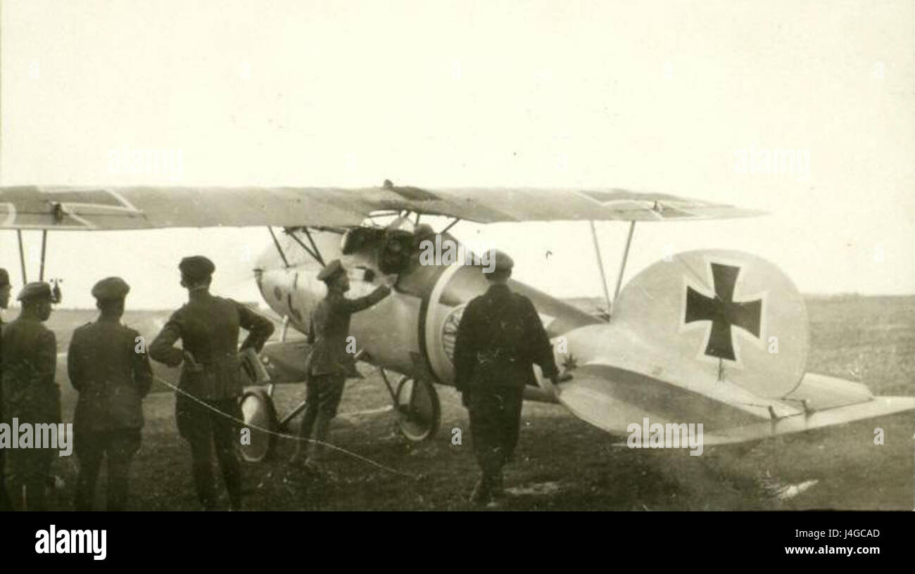 Schleich Albatros hinten Stockfoto