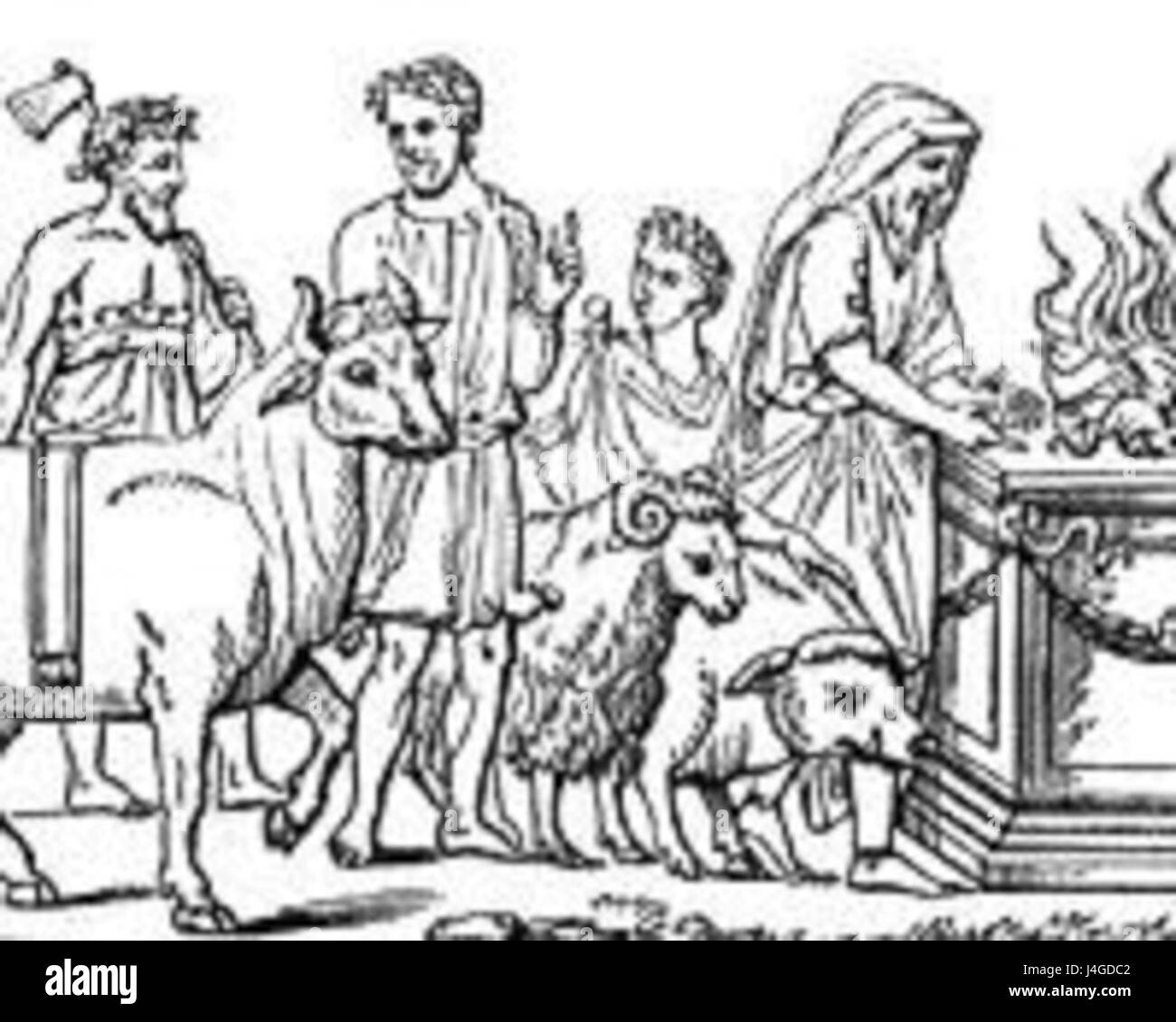 Suovetaurilia Fotos und Bildmaterial in hoher Auflösung Alamy