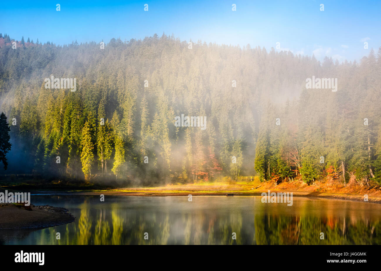 Blick auf kristallklaren See mit Rauch und Reflexion auf dem Wasser. Fichtenwald am nebligen Herbstmorgen. Majestätische Berglandschaft bei Sonnenaufgang. Stockfoto