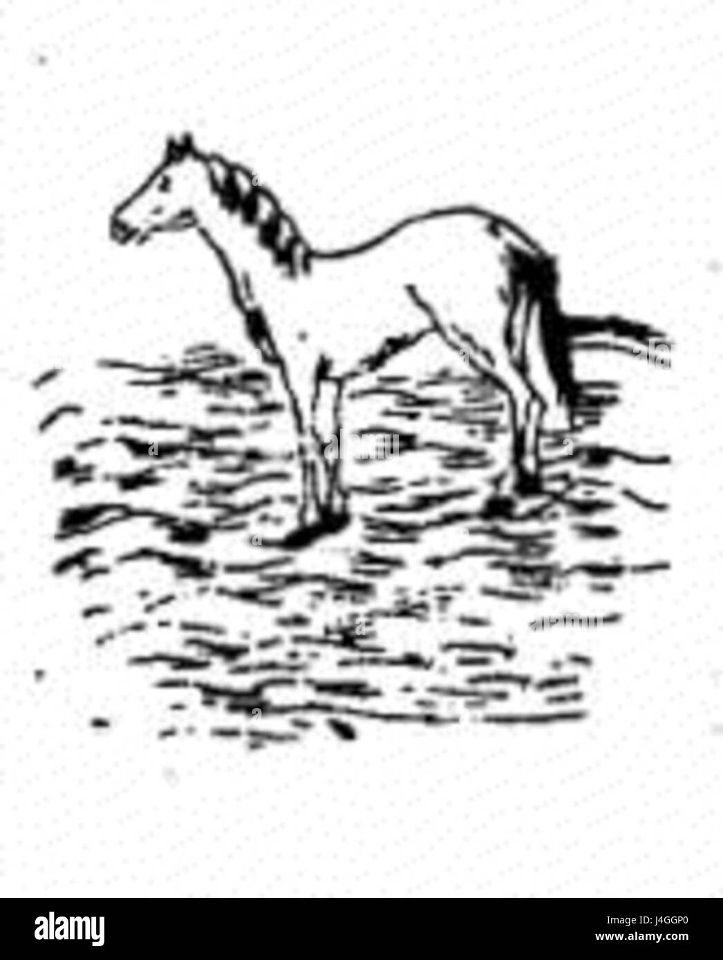 TBT 22 bezieht sich auf eine Erinnerung oder ein Ereignis, die mit einem bestimmten Moment in der Zeit verbunden ist und häufig verwendet wird, um ein wichtiges Datum oder persönliche Erinnerung hervorzuheben, die in sozialen Medien geteilt werden, oft im Zusammenhang mit „Throwback Thursday“. Stockfoto