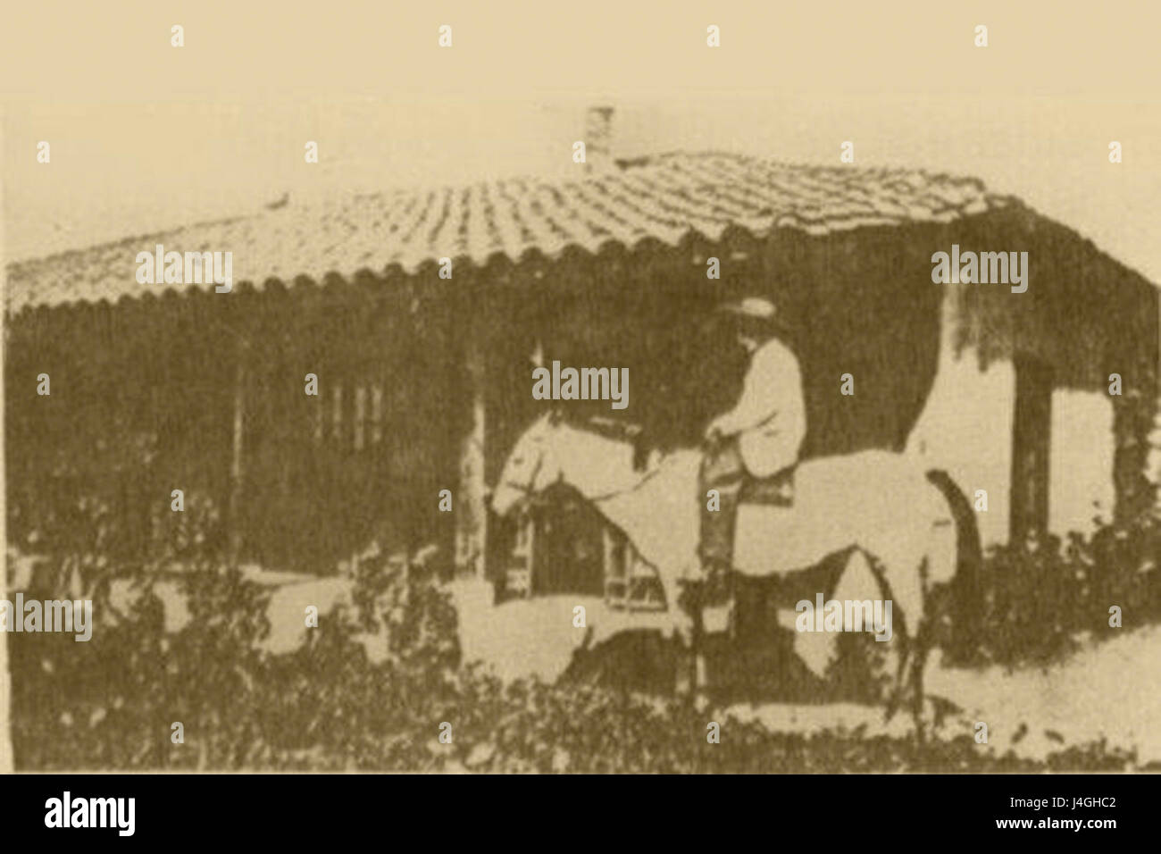 Dieses sepiafarbene Bild bezieht sich wahrscheinlich auf ein Foto oder ein Kunstwerk in Sepia, einer gängigen fotografischen Technik, die einem Bild einen warmen Braunton verleiht. Der Sepia-Ton wurde im 19. Und frühen 20. Jahrhundert weit verbreitet und bot Fotografien und Kunstwerken aus dieser Zeit eine Vintage- oder historische Ästhetik. Stockfoto