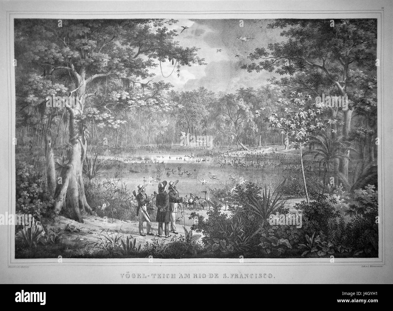 Das Spix Reiseatlas Original 05 ist ein atlas, der auf die Reisen des deutschen Naturforschers Johann Baptist von Spix zurückgeht. Der atlas enthält Karten und Illustrationen von seiner Erkundung Brasiliens im frühen 19. Jahrhundert und bietet Einblicke in die Landschaften und Völker, die er traf. Stockfoto