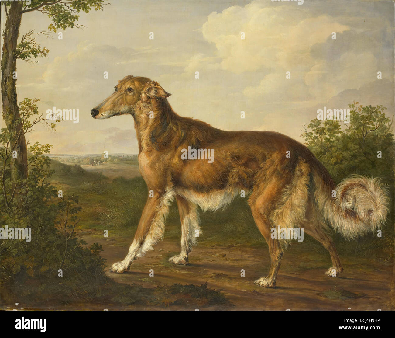 Der *sibirische Windhond*, oder sibirischer Windhund, der in diesem Kunstwerk im Rijksmuseum dargestellt wird, ist eine Darstellung der Eleganz und Anmut der breedâ. Das Gemälde veranschaulicht die Besonderheiten dieses russischen Jagdhundes. Stockfoto