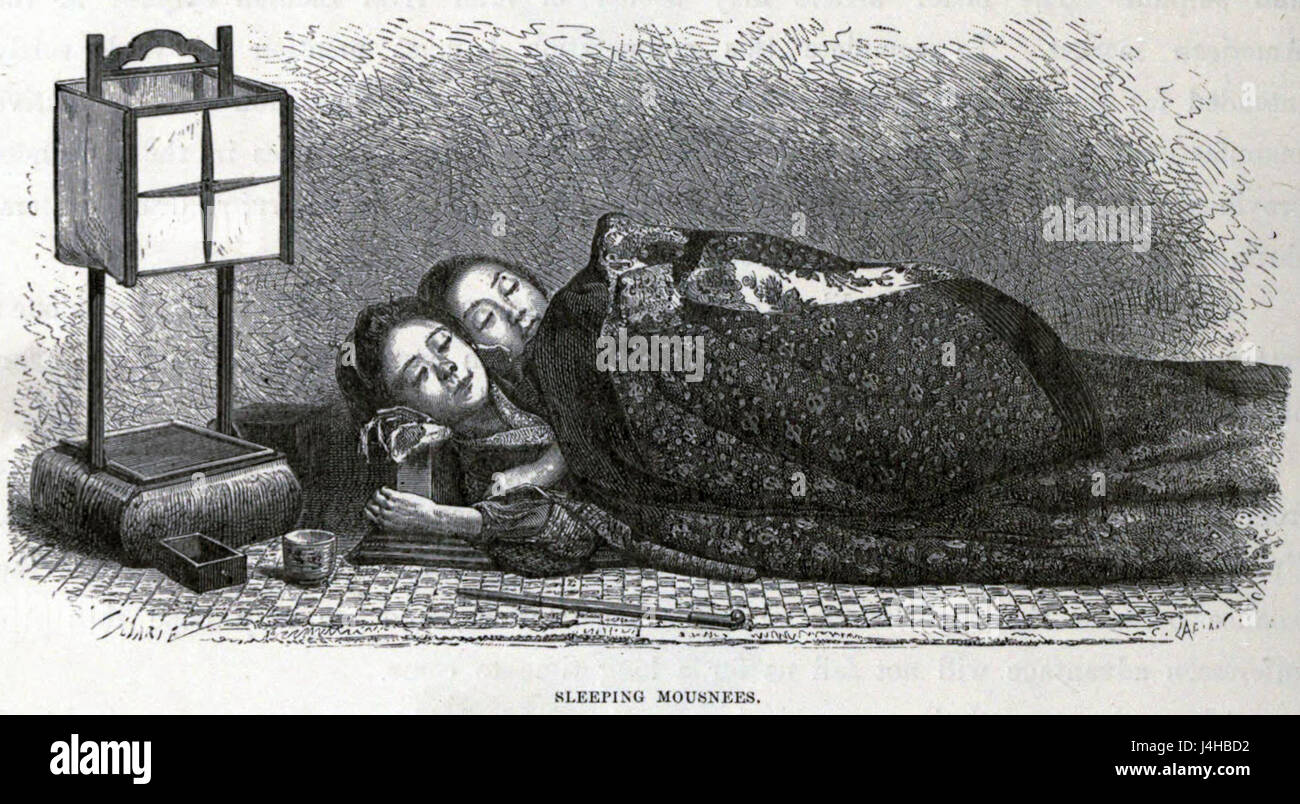 „Sleeping Mousnees Kopie“ ist eine künstlerische Darstellung, die eine ruhige Szene ruhender Mäuse darstellt, die durch eine Kopie des Originalkunstwerks erfasst wird, das Ruhe und Ruhe hervorruft. Stockfoto