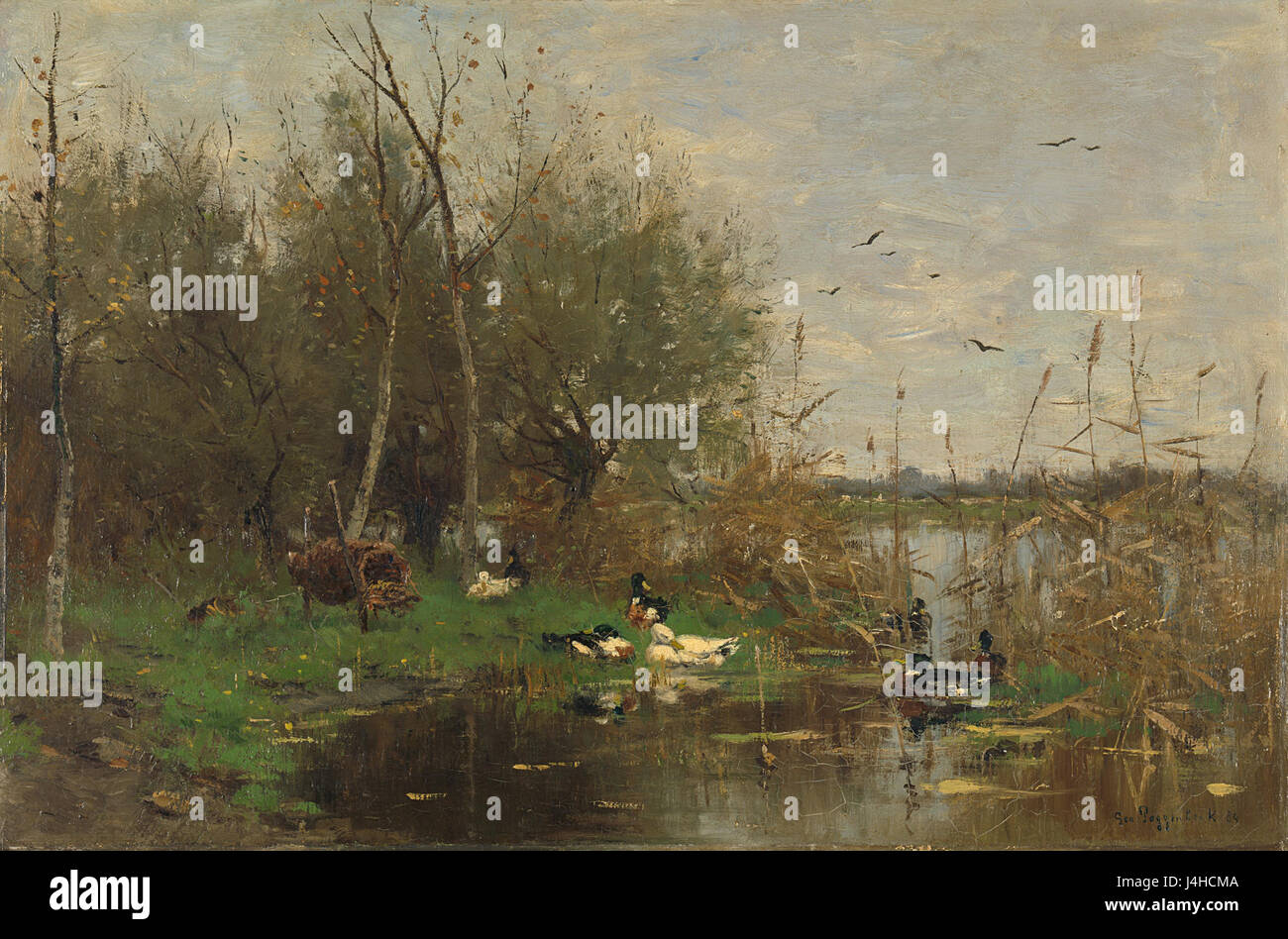 Slootrand met Eenden Bij Een Eendenkorf Rijksmuseum SK pro 2708 Stockfoto