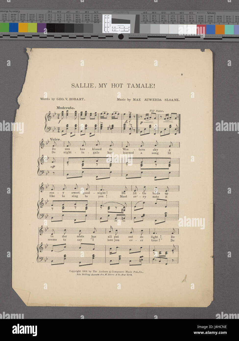 Sallie, meine heiße Tamale (NYPL Hades 1933361 1995836) Stockfoto