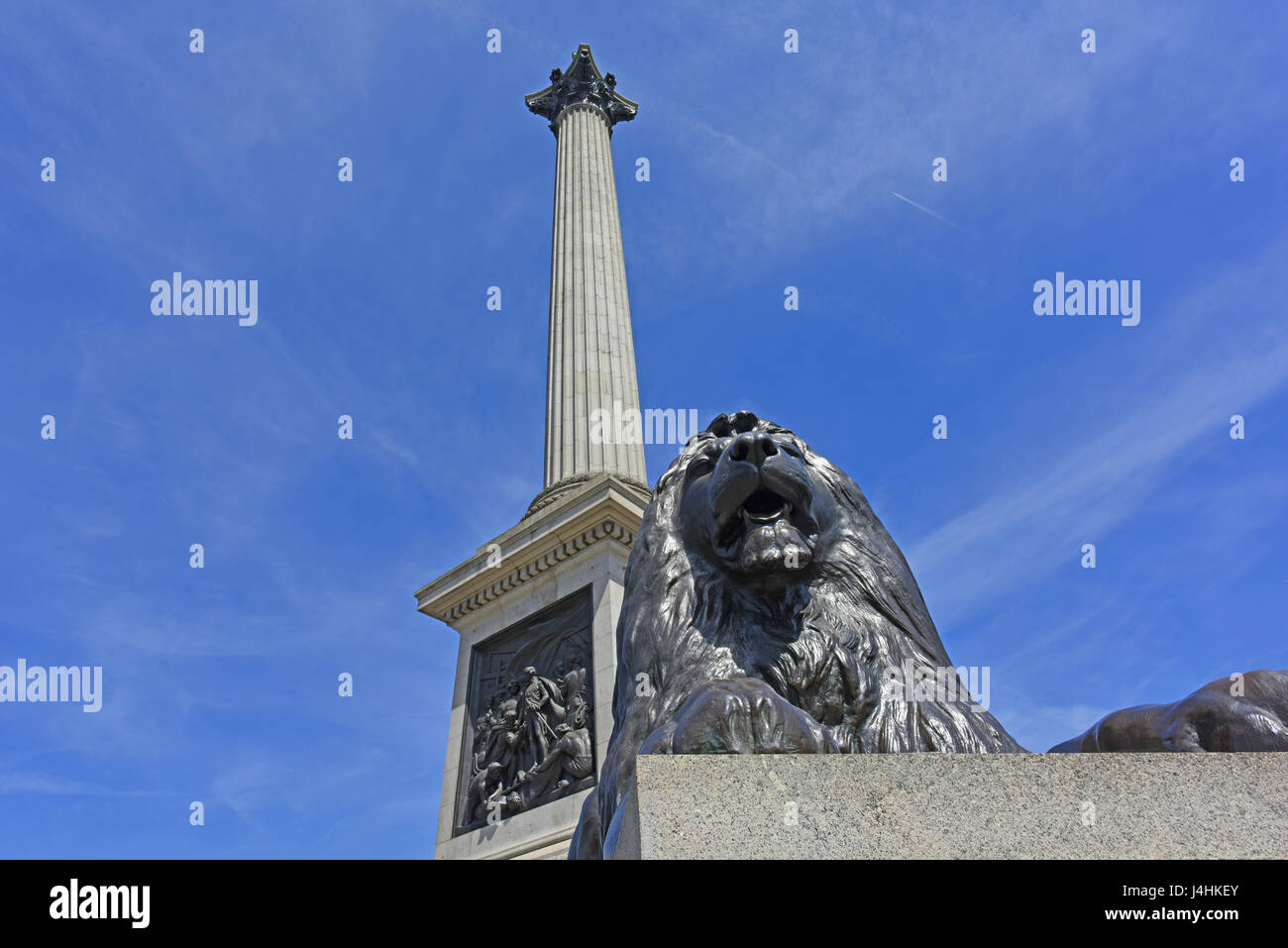 Löwe und Nelson Säule in Trafalgar Square in London Stockfoto