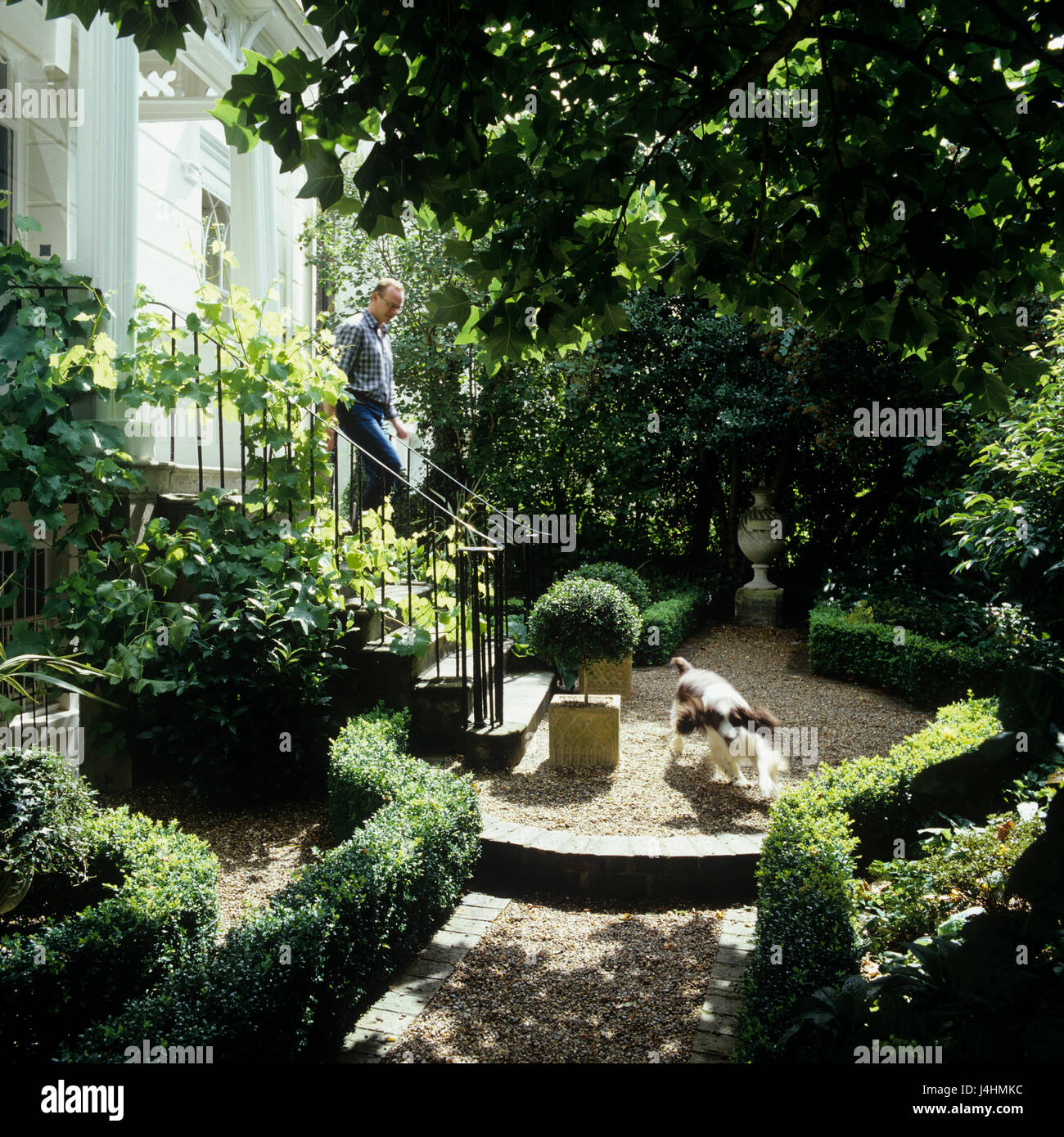 Mensch und Hund im Garten Stockfoto
