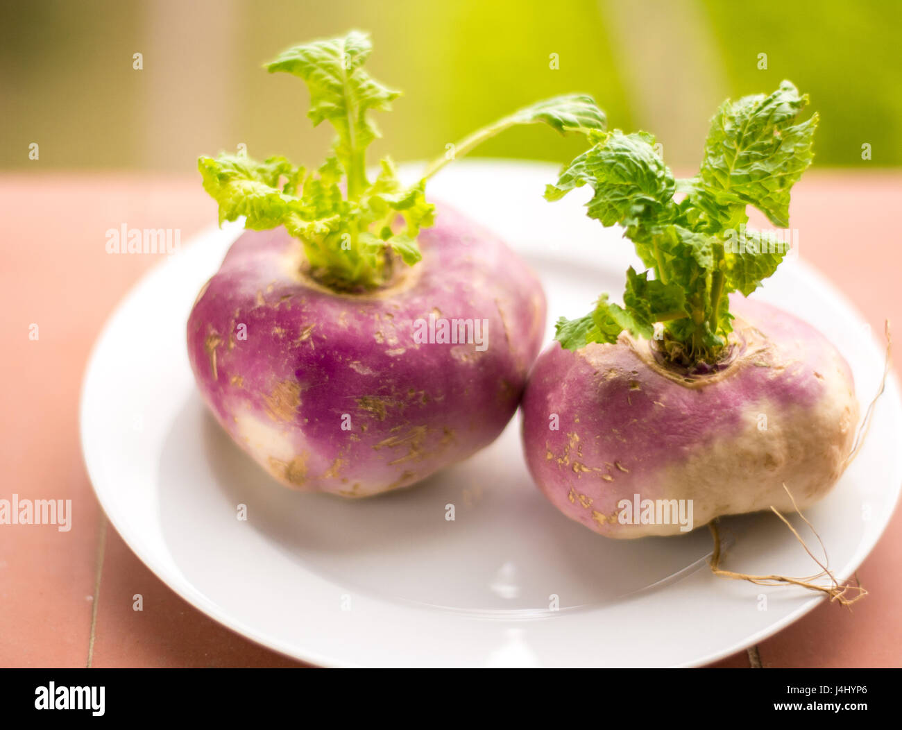 Lila rüben -Fotos und -Bildmaterial in hoher Auflösung – Alamy
