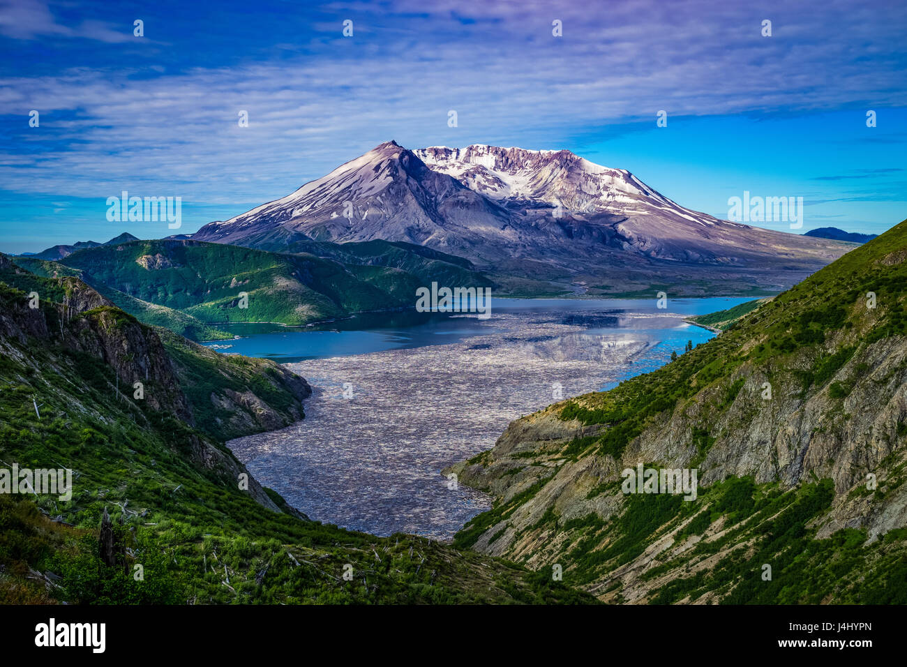 Spirit Lake und schwimmenden Protokolle auf der Nordseite des Mount Saint Helens Stockfoto