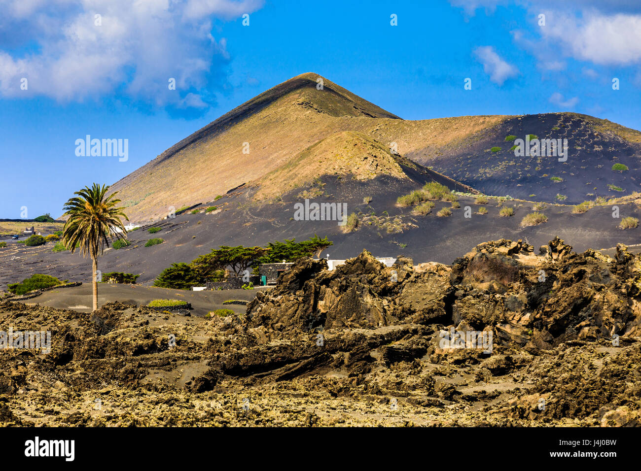 Schöne Farben in der vulkanischen Landschaft von Lanzarote. Stockfoto