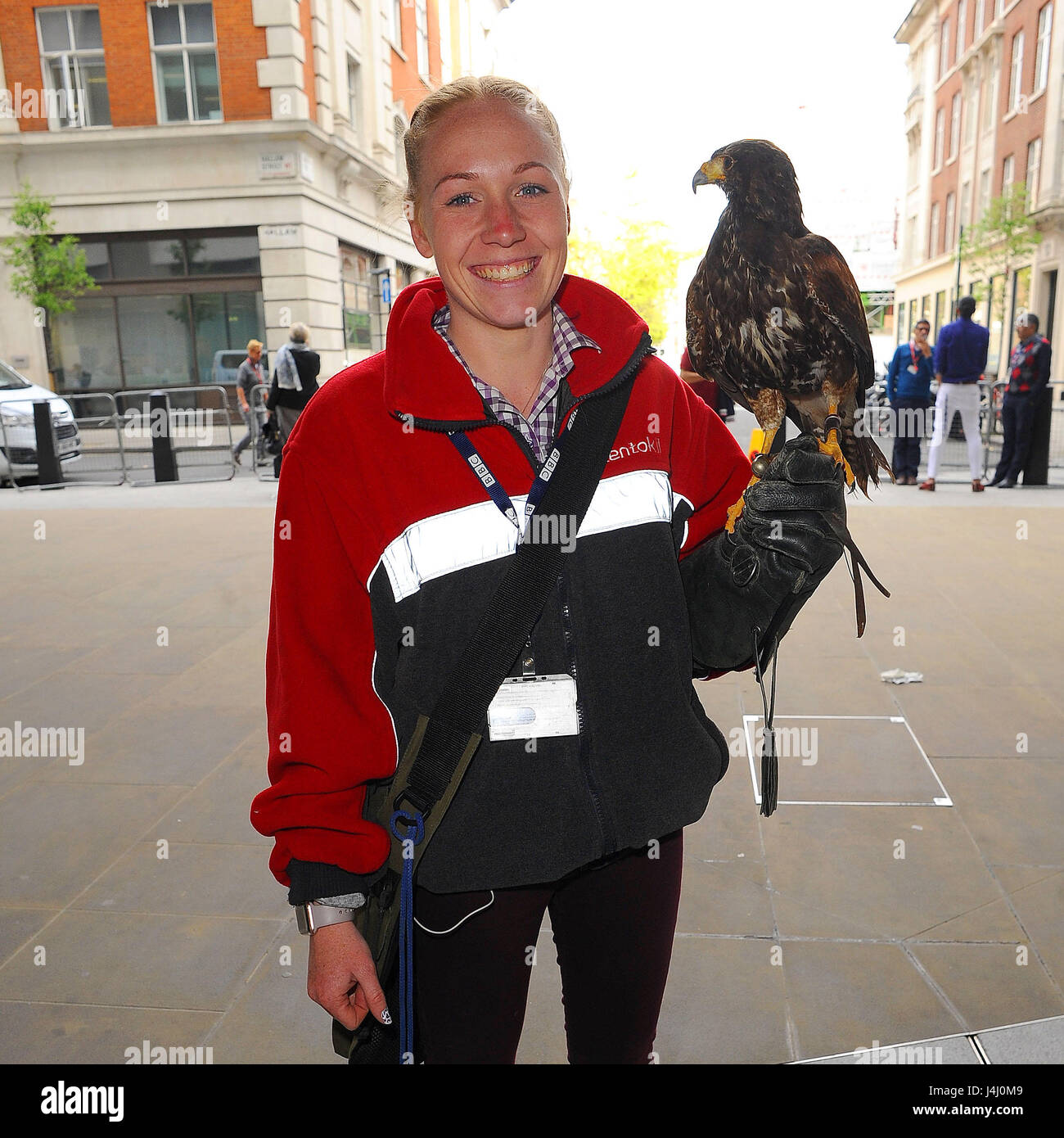 Jaime und Jerry die Hawk arbeiten am Hauptsitz der BBC. Jerry ist eine Taube Jäger zuständig für unerwünschte Vögel von gewerblich genutzten Gebäuden vergraulen Featuring: Jaime und Jerry The Hawk wo: London, Vereinigtes Königreich bei: 11. April 2017 Credit: WENN.com Stockfoto