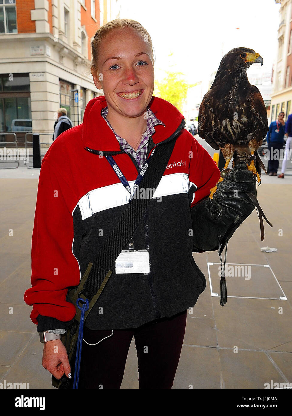 Jaime und Jerry die Hawk arbeiten am Hauptsitz der BBC. Jerry ist eine Taube Jäger zuständig für unerwünschte Vögel von gewerblich genutzten Gebäuden vergraulen Featuring: Jaime und Jerry The Hawk wo: London, Vereinigtes Königreich bei: 11. April 2017 Credit: WENN.com Stockfoto