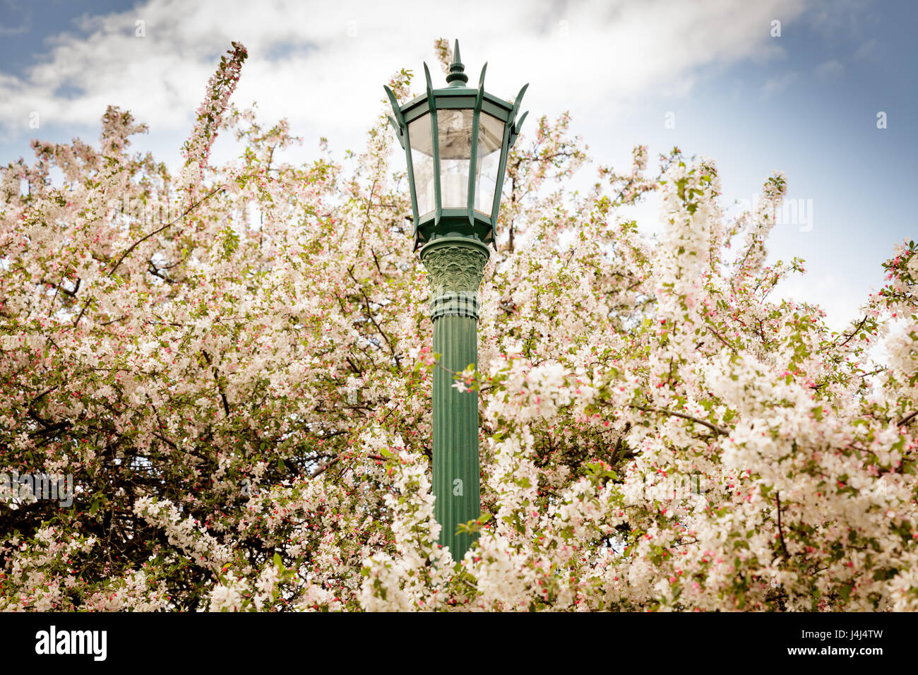 Union College in Schenectady, New York State. Stockfoto