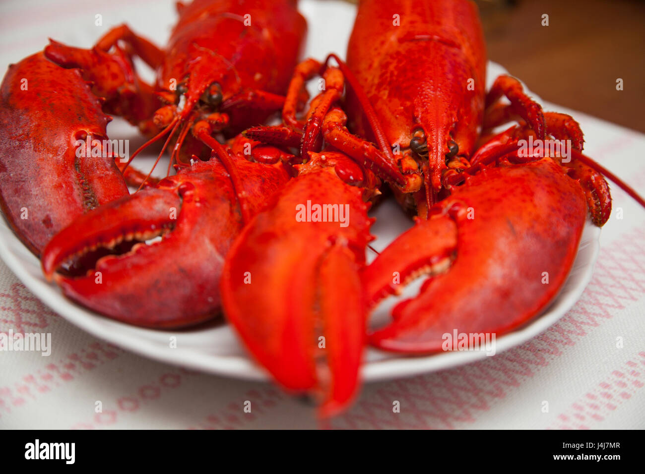 2017 ESSFERTIG HUMMER Stockfoto
