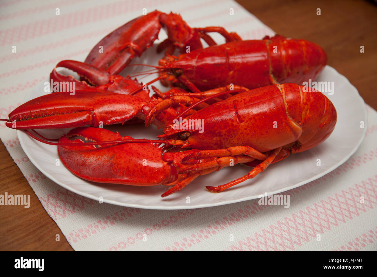 2017 ESSFERTIG HUMMER Stockfoto