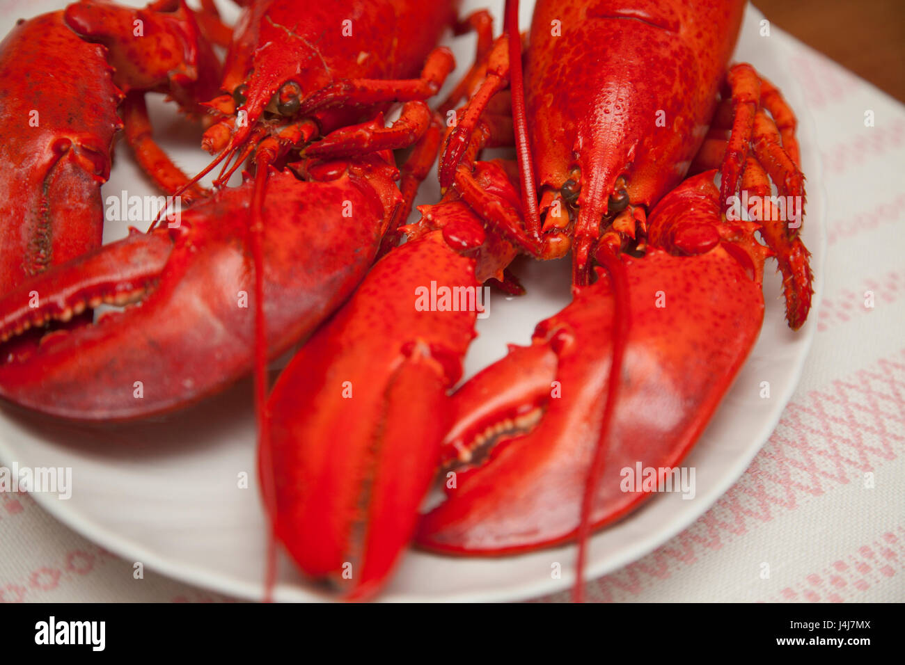 2017 ESSFERTIG HUMMER Stockfoto
