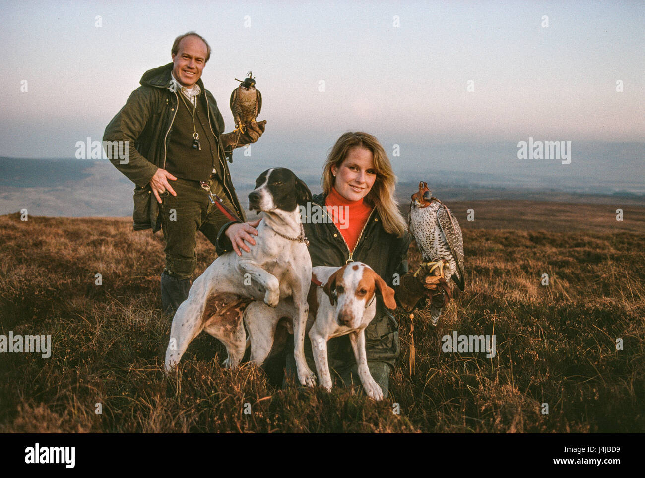 Falkner Steve und Emma Ford posiert mit den Falken Jagd und Hunde auf die Mauren in Gleneagles, Schottland. Derek Hudson/Alamy Stock Foto Stockfoto