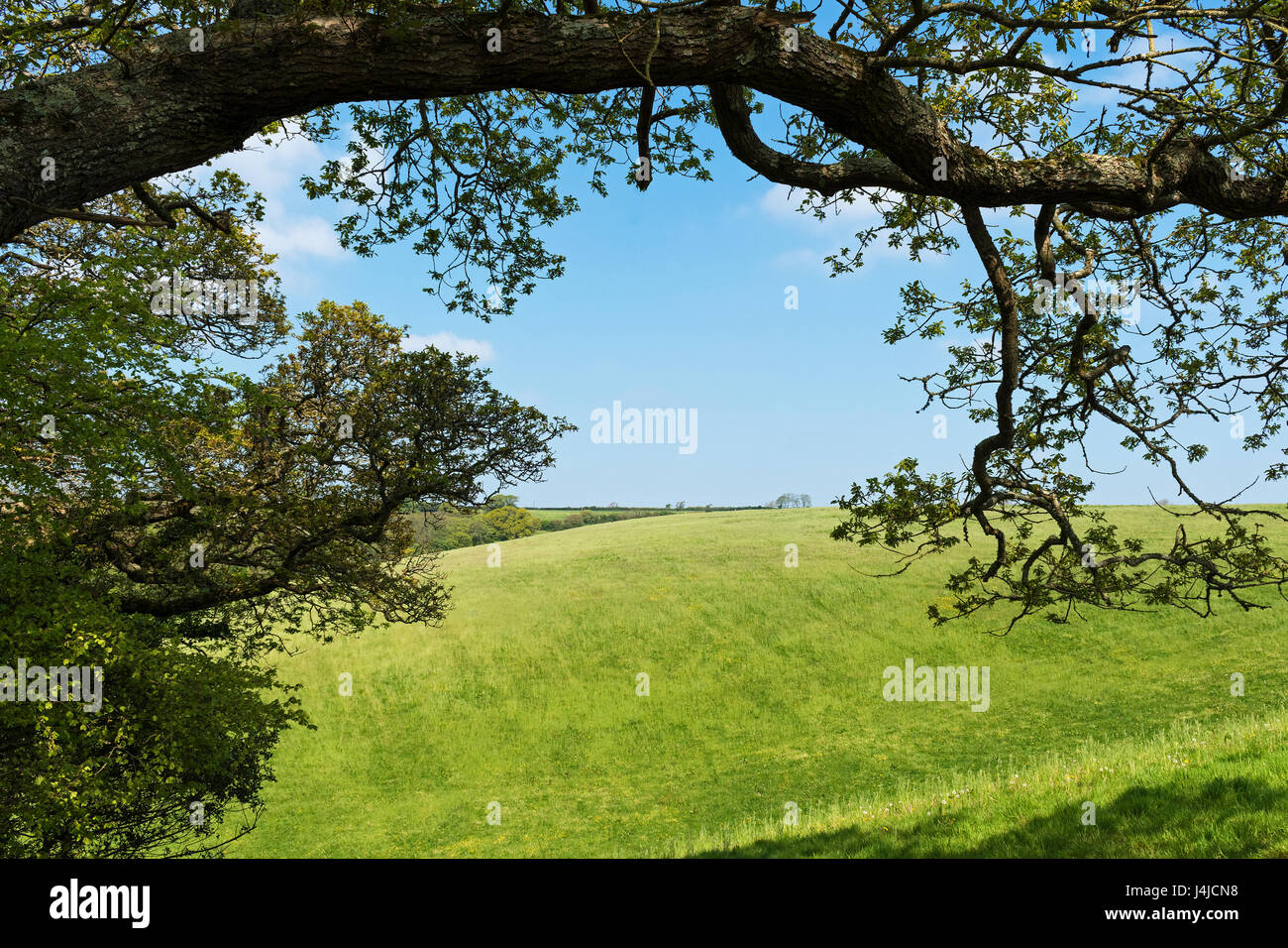 Landschaft in der Nähe von Ludlow in Shropshire, England, Großbritannien, uk. Stockfoto