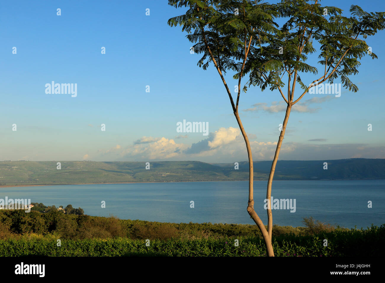 Israel, einen Blick auf den See Genezareth vom Berg der Seligpreisungen Stockfoto
