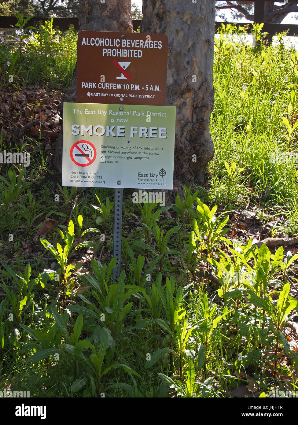 Rauchen, alkoholische Getränke verboten, Zeichen, East Bay Regional Park, Niles Canyon, Fremont, Kalifornien, USA, Stockfoto