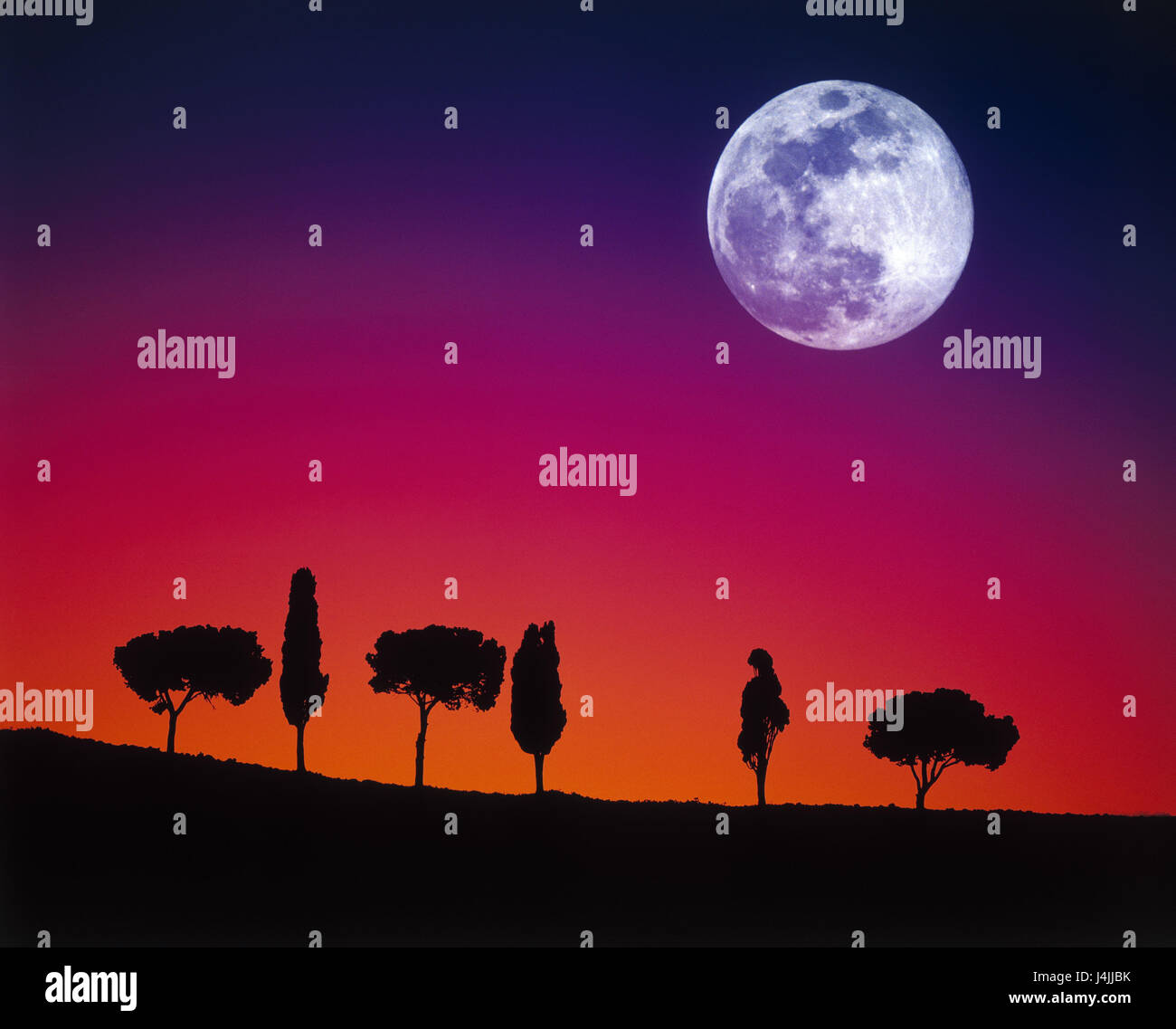 Italien, Toskana, Bäume, Vollmond, Abend Stimmung [M] Europa, Mond, Mond, Vollmond-Nacht, Sonnenuntergang, tuning, Abend, Dämmerung, Dämmerung, Nachleuchten, Pinien, Zypressen Stockfoto