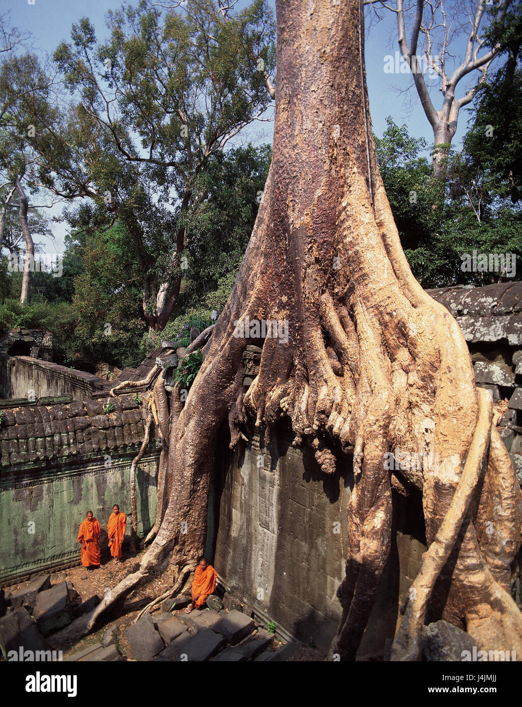 Kambodscha, Angkor Wat, Khmer-Tempel, Detail, Ta Prohm, Mönche außerhalb, nahe Siem Reap, König Suriyavarman II, baut, 1110-1150, Khmer Klassik, sakrale Bau, Tempel-Anlage, Tempel, glauben, Religion, Ort von Interesse, Struktur, Kultur Stockfoto