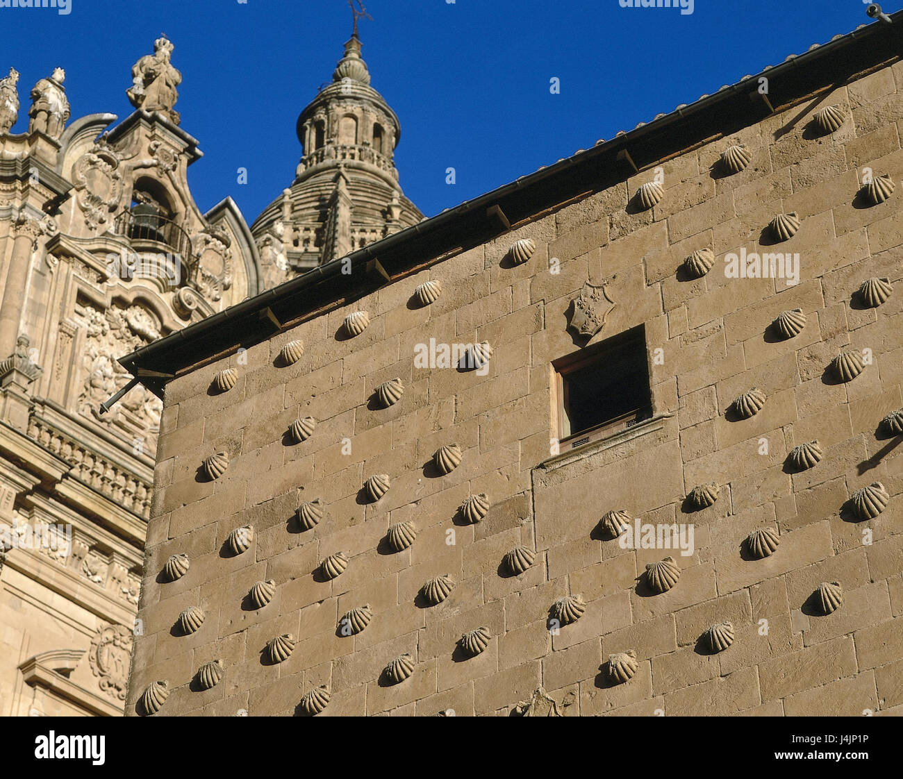 Spanien, Castilla Y León, Salamanca, Casa de las Conchas, Fassade, Detail Region Kastilien und León, Muschel-Haus, Haus, Gebäude, Fassade des Hauses, Muscheln, Jakobsmuscheln, Sehenswürdigkeiten, Isabellinischer-Renaissance-Stil, Relief-Darstellungen, Jakobsmuscheln, Muscheln, 15. Jhdt., Ort von Interesse Stockfoto