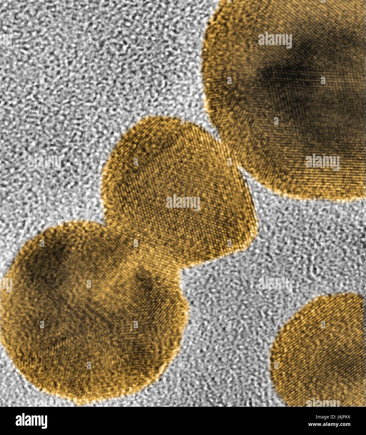 Gold-Nanopartikel. Farbige Transmission Electron Schliffbild (TEM) von gold-Nanopartikeln durch Laserablation eine Masse gold-Ziel in Wasser gebildet. Das Raster in Nahaufnahmen zu sehen sind die atomare Flugzeuge innerhalb der Nanopartikel. Diese Forschung involv Stockfoto