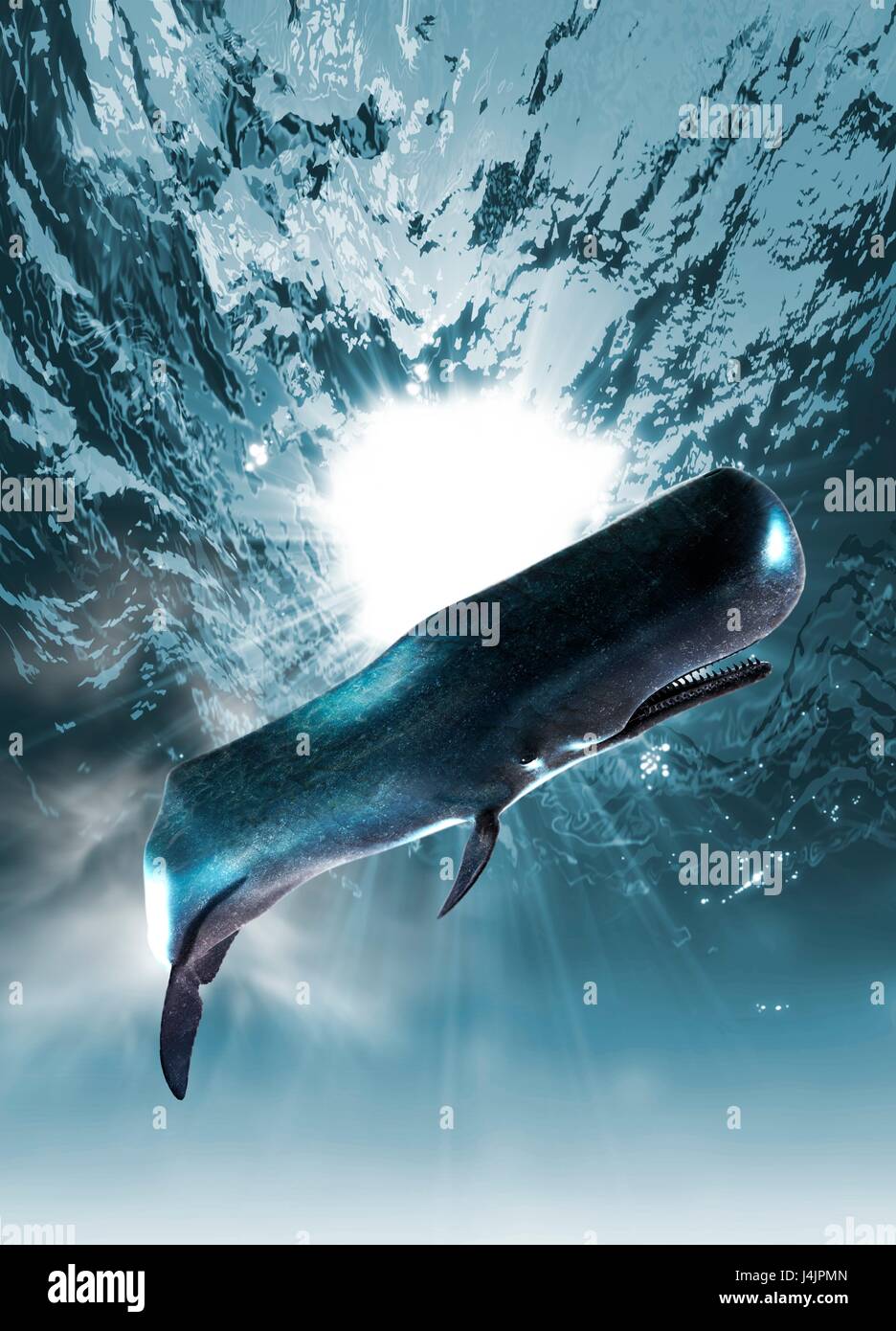 Unterwasser, Marine Kreatur Abbildung. Stockfoto