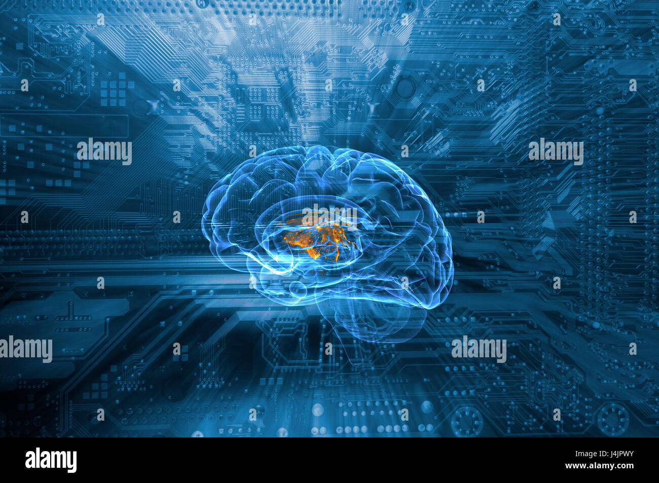 Menschliche Gehirn und Platine, Abbildung. Stockfoto