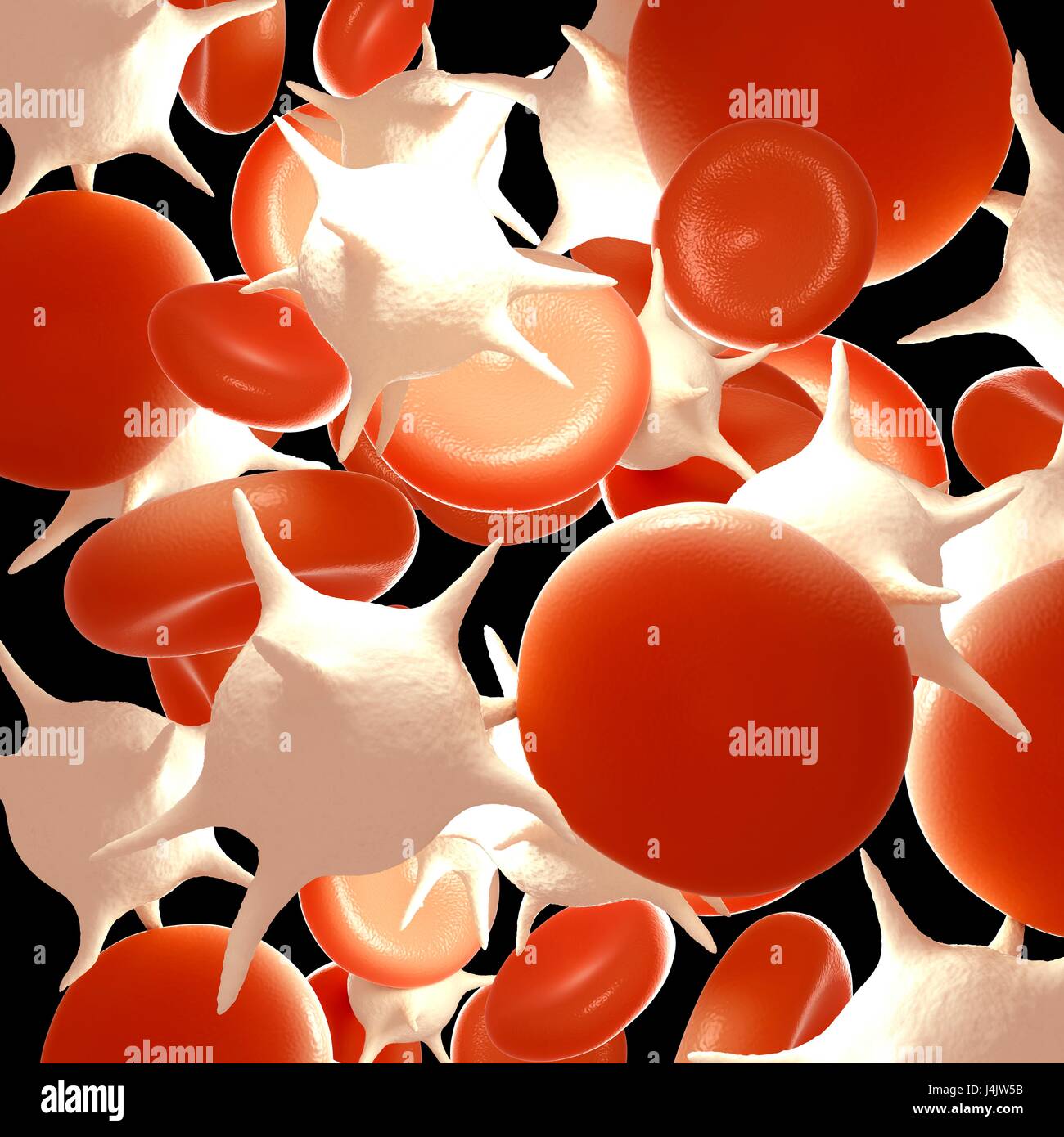 Illustration von roten und weißen Blutkörperchen. Stockfoto