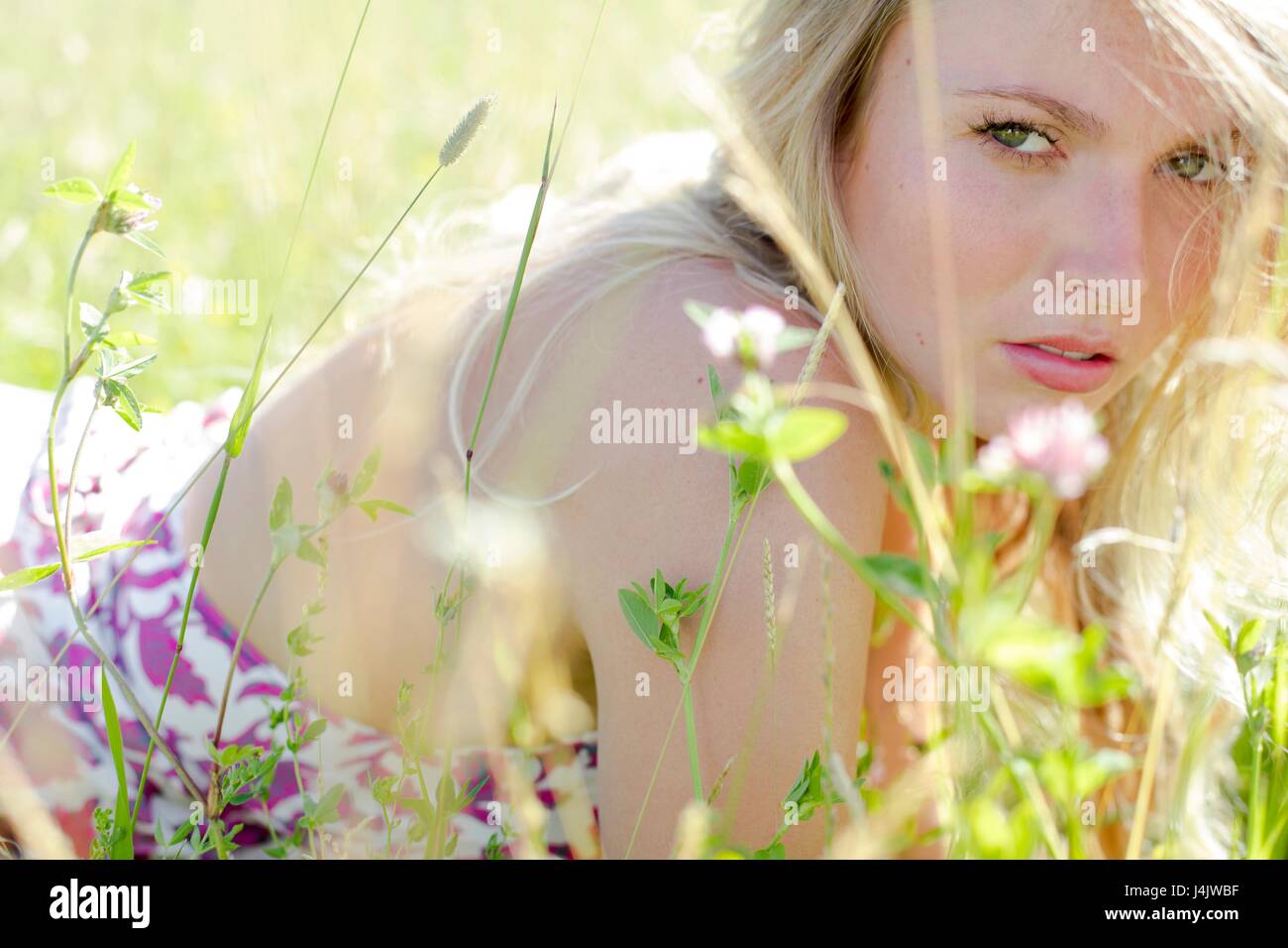 Junge Frau lag in der Wiese mit Wildblumen. Stockfoto
