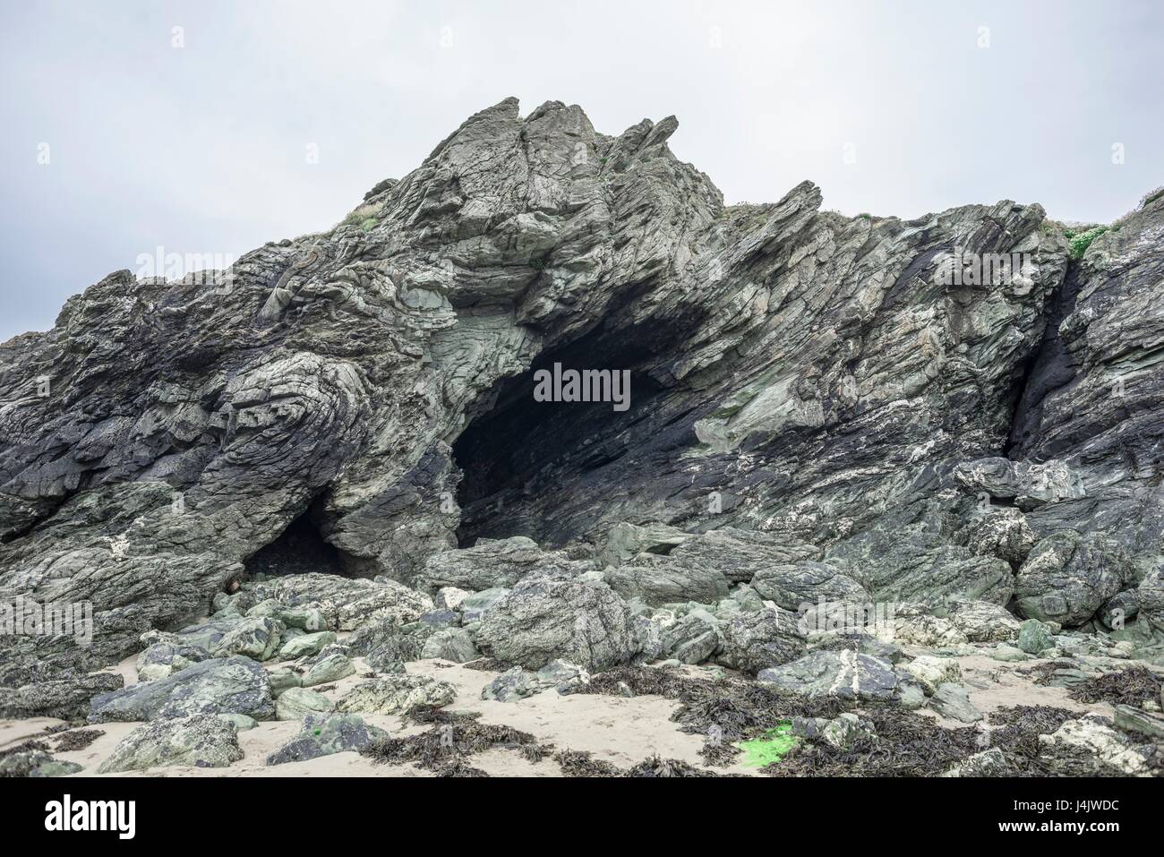 Gefalteten Rock rock Schichten und Höhle Porth Dafarch, Anglesey, Wales, UK. Es wird gebildet aus Schiefer, mit Ursprung als Feinkohlen und muds auf einem Meeresboden vor 600 Millionen Jahren. Später war tief begraben, gequetscht und erhitzt, um Temperaturen von 500 Grad Celsiu Stockfoto