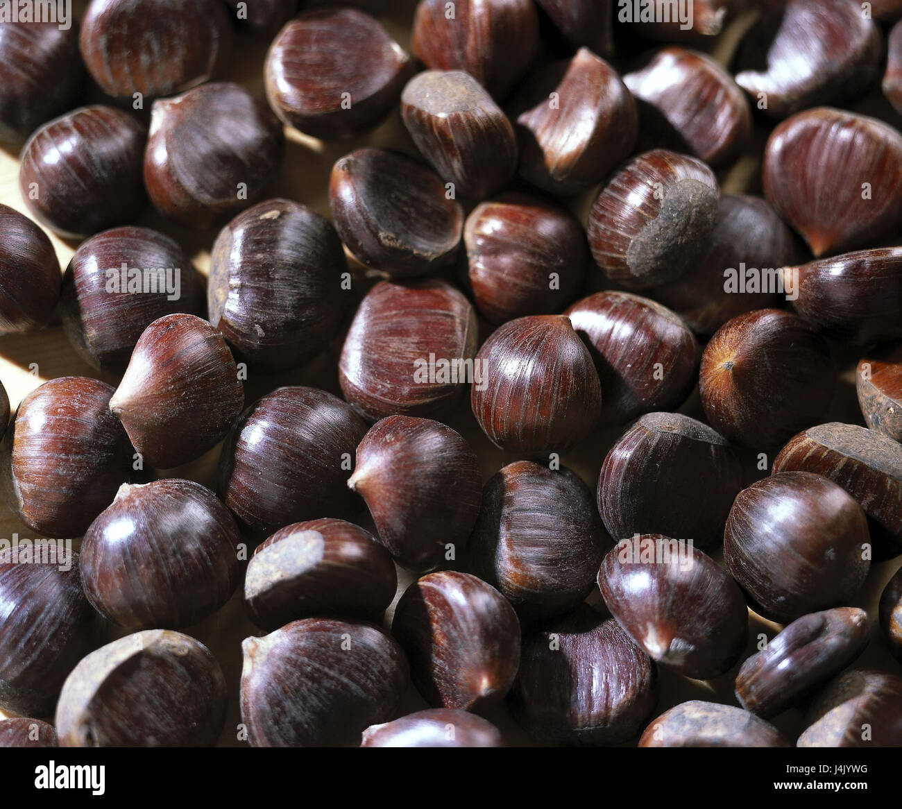 Kastanien, Castanea Sativa echte Kastanie, Buchung Pflanzen, Mutter Früchte, Essen, Kastanien, Esskastanien, Essen, essbar, Objektfotografie, Stillleben Stockfoto