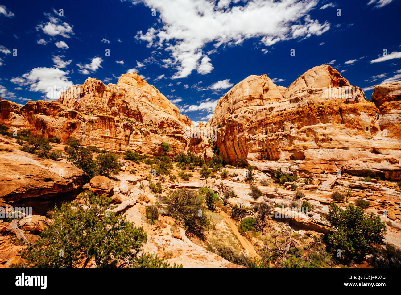 Der Weg zur Hickman Bridge ist beliebteste Wanderung Capitol Reef National Park und mit fantastischen Blick auf Waterpocket Fold und die majestätischen nat Stockfoto