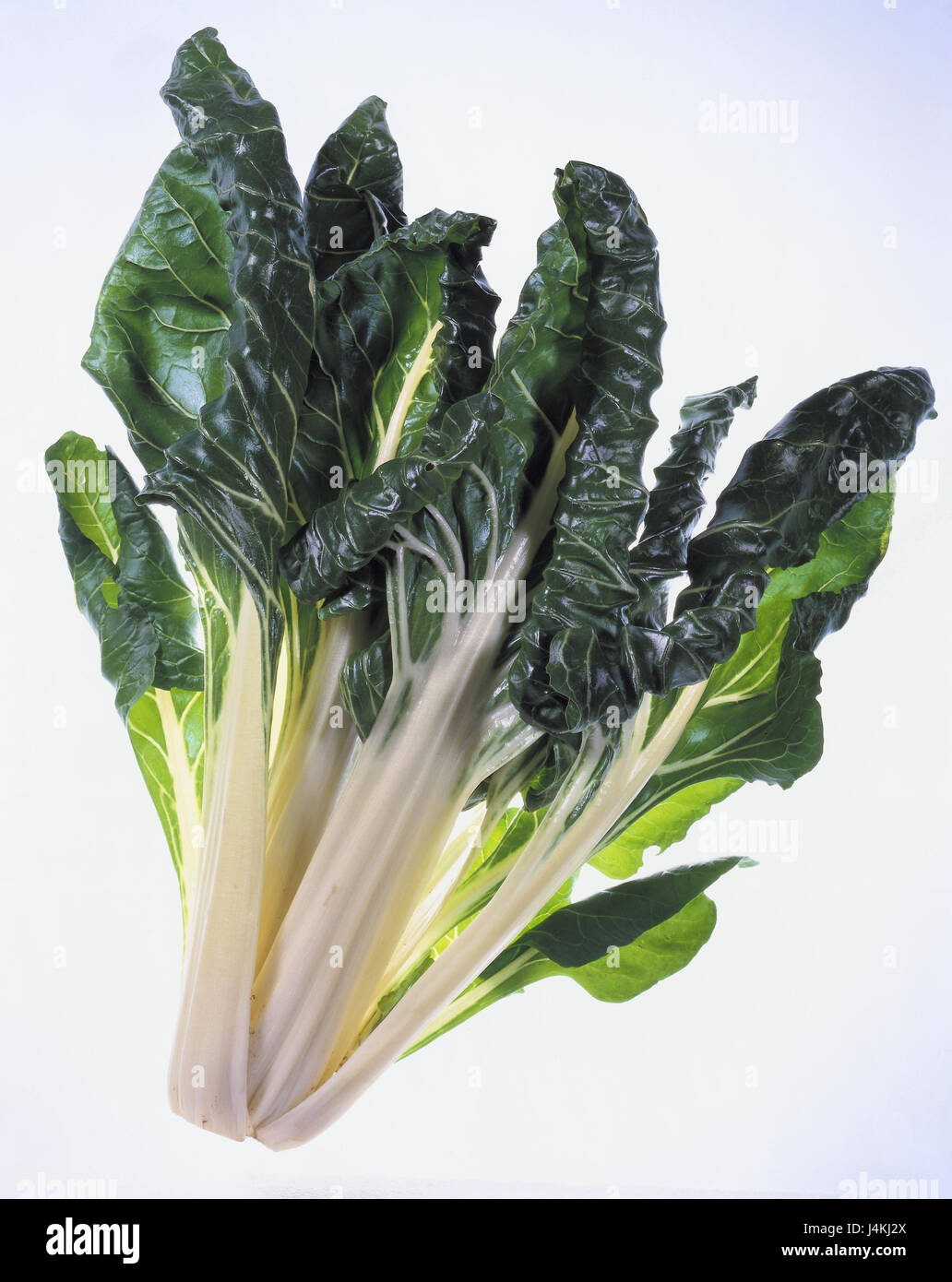 Mangold Beta Vulgaris, Gemüse, Kochen, Gemüse, Blätter, grün, die Gans Fuß Pflanze, Kulturpflanze, Ernährung, gesunde Lebensmittel, Lebensmittel, Objektfotografie, Freis Platte, Stillleben Stockfoto