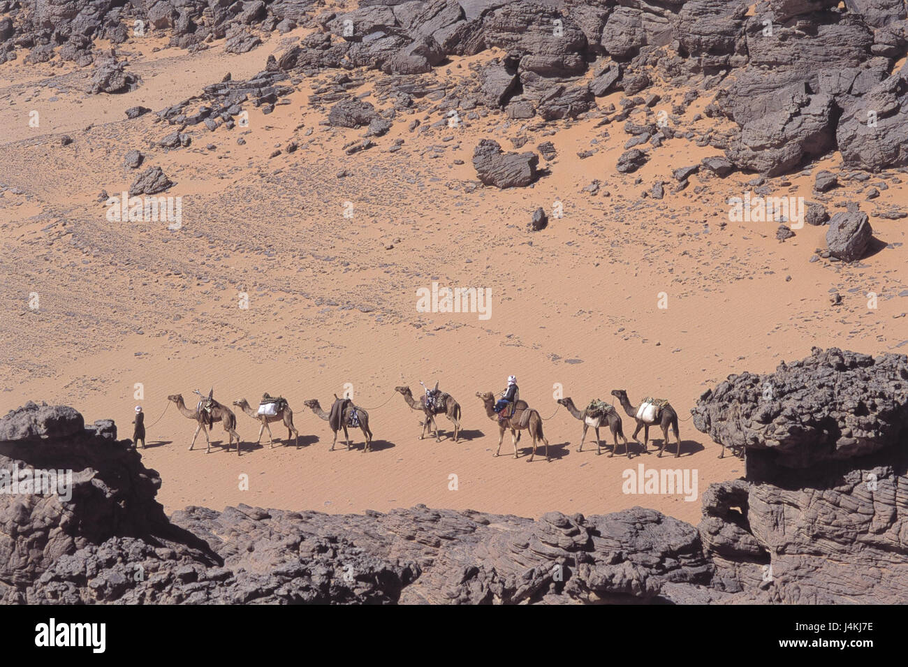 Libyen, Tadrart Acacus, Kamel-Karawane Tuareg Akakusgebirge, Akakus, Targi, Nomad, Imuschag, Wohnwagen, Kamele Stockfoto