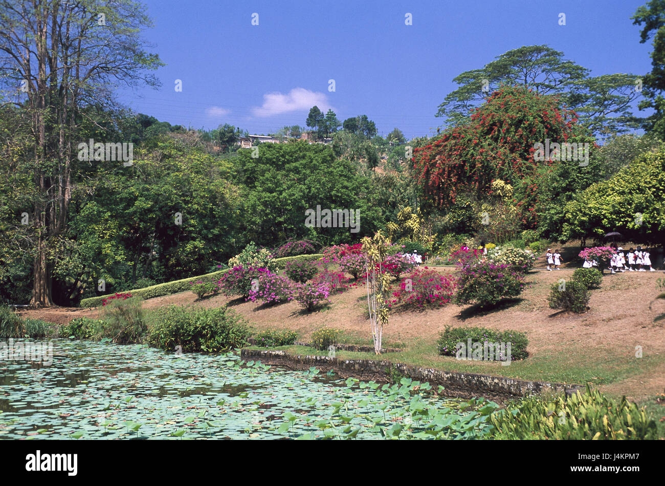 Kandy Sri Lanka Besucher Ausserhalb Sudasiens Insel Insel