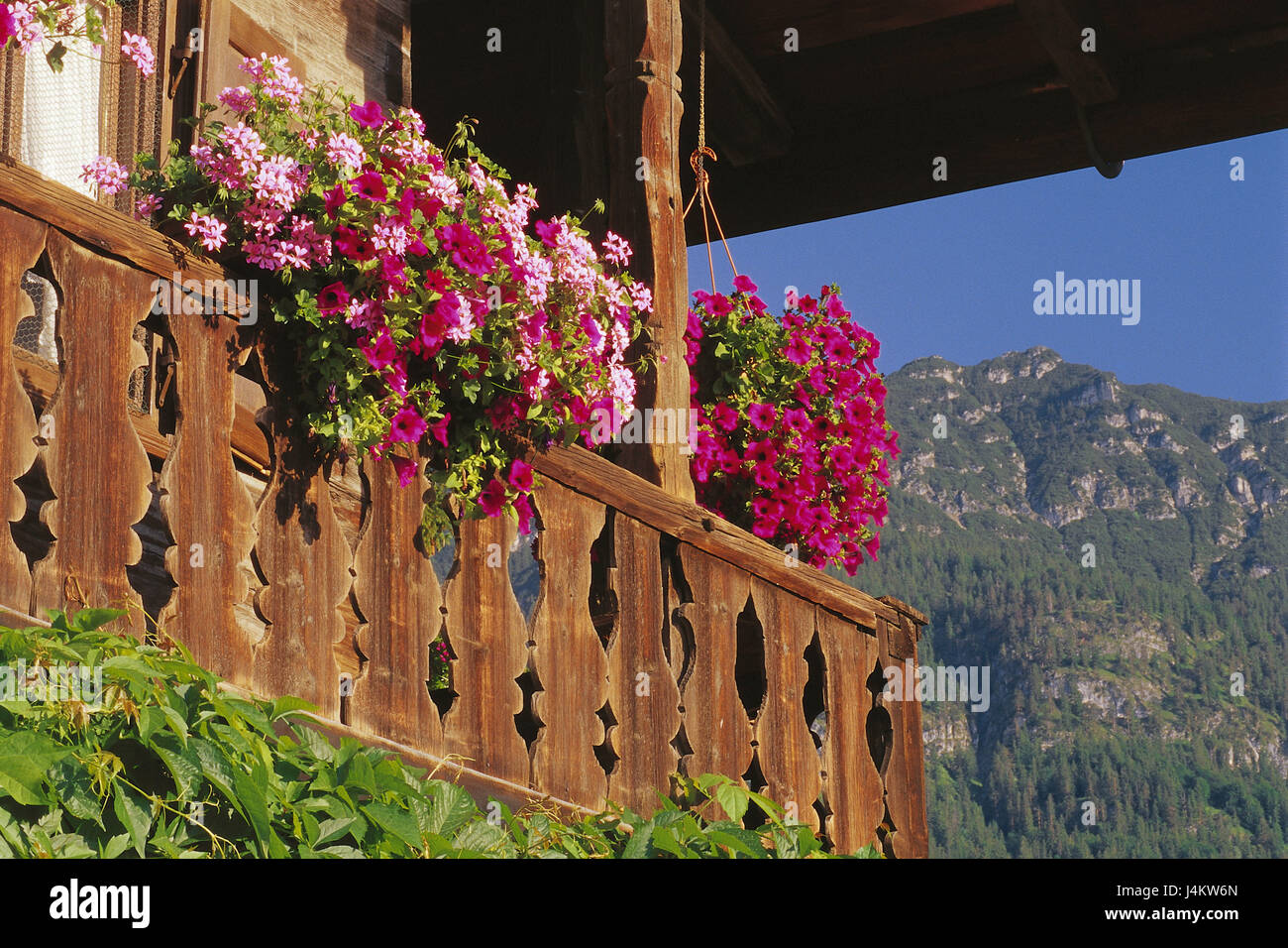 Bauernhaus, Detail, florale Dekoration Haus, Wohnhaus, Holzbalkon, Balkon,  Balkonblumen, Geranien, Petunien, lndlich, Idylle, Sommer, Deutschland,  Garmisch-Partenkirchen Stockfotografie - Alamy