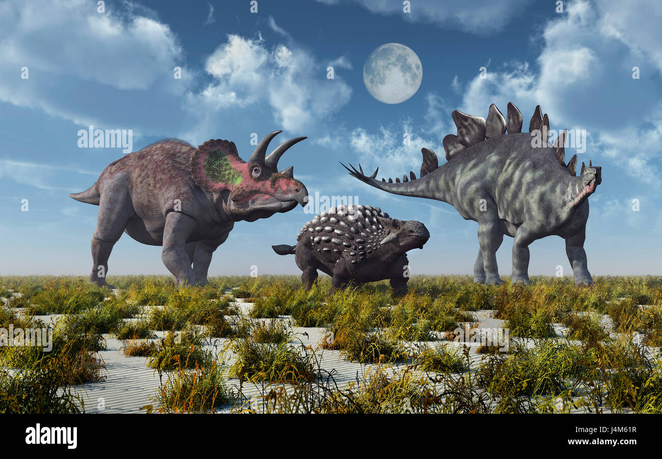 Ein Triceratops ein Ankylosaurus & einen Stegosaurus Dinosaurier. Stockfoto